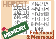 Memory (enkelvoud, meervoud) - Herfst - Print