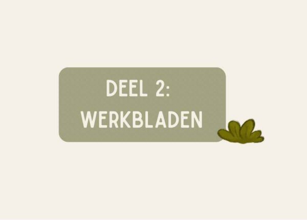 Emoties Gevoelens Gedachten Werkbundel Dino Kinderen - Afbeelding 4